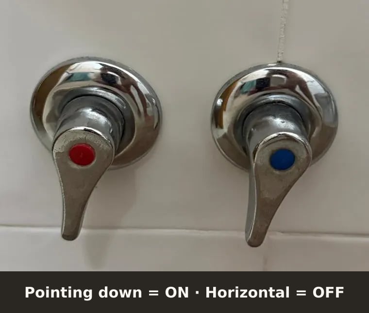 A pair of water valves, turned on